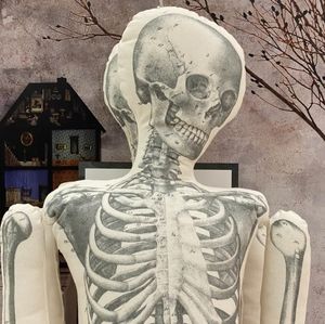 ISO JOHN DERIAN SKELETON PILLOW FROM TARGET